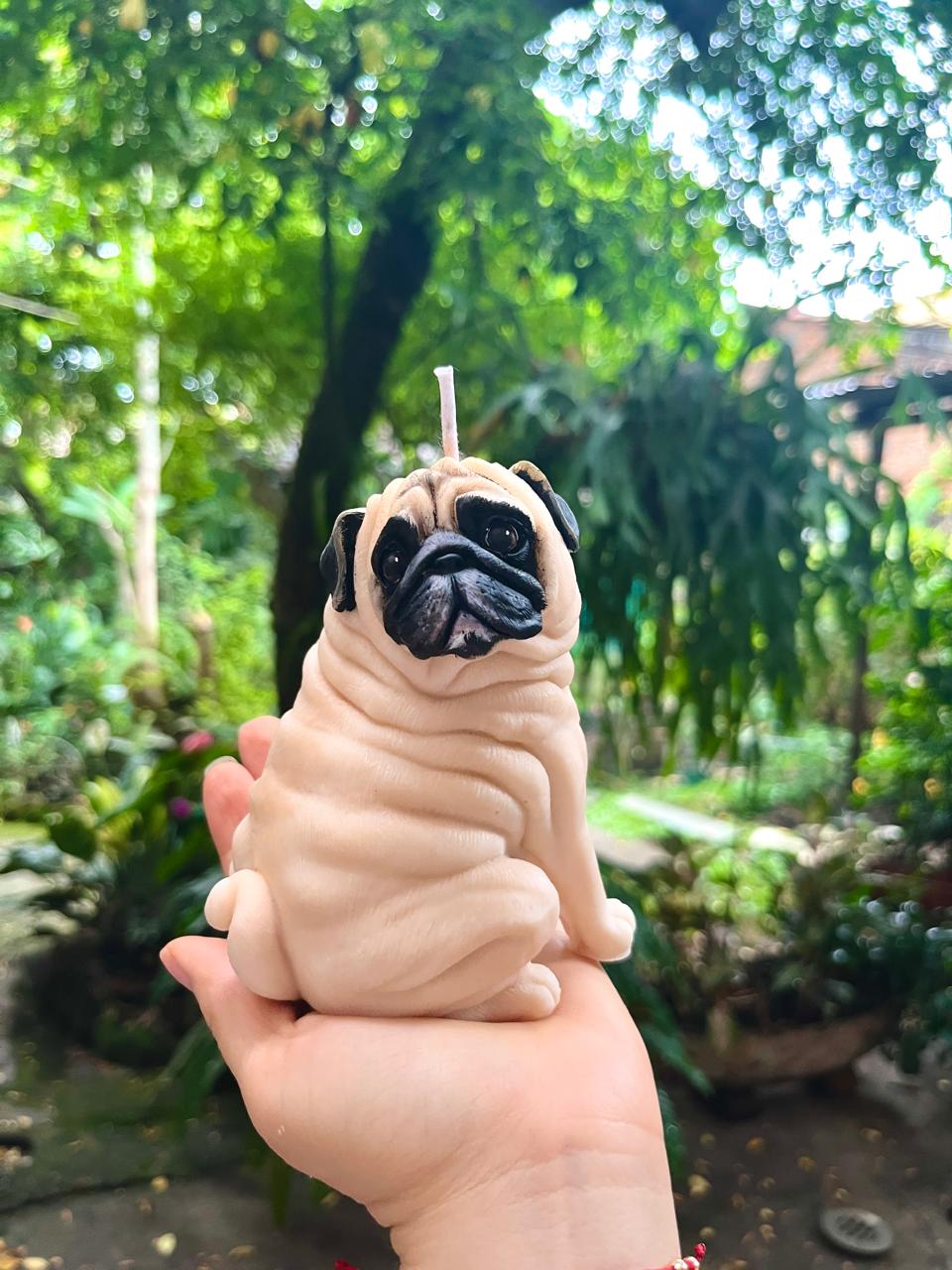 Mascota 1
