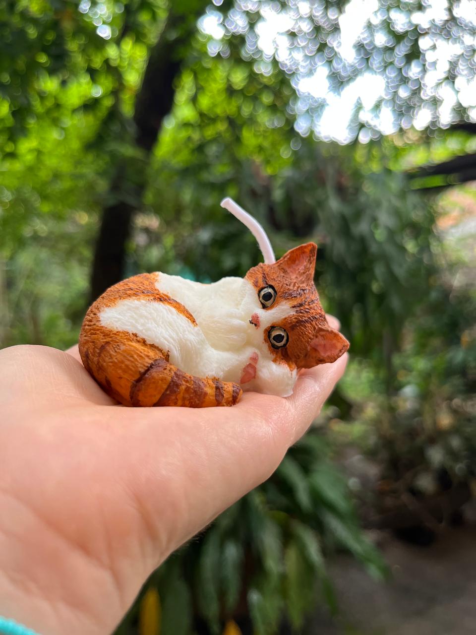 Mascota 2