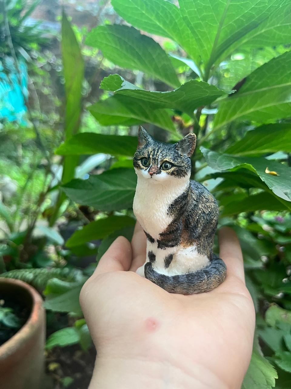 Mascota 3
