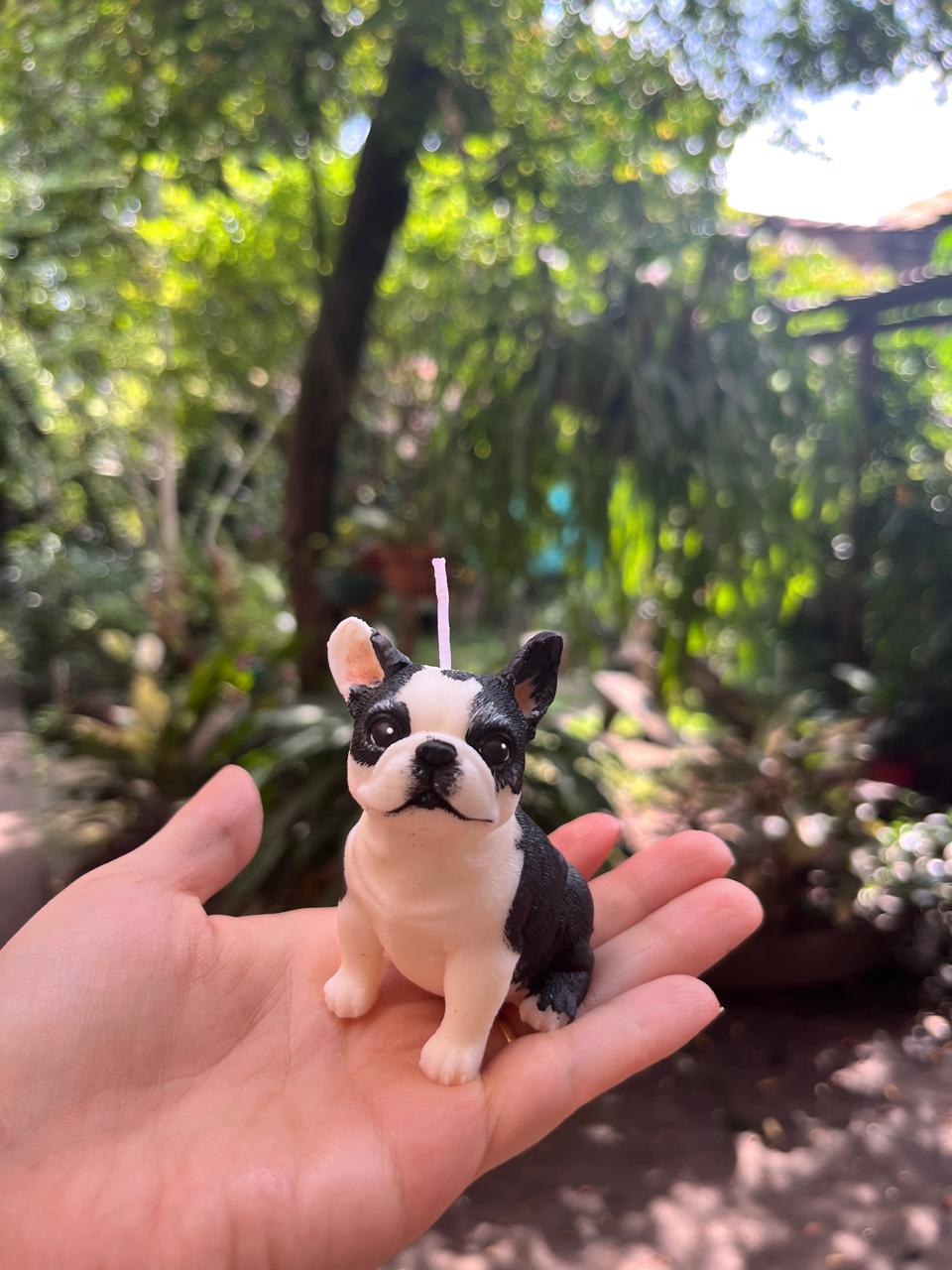 Mascota 4