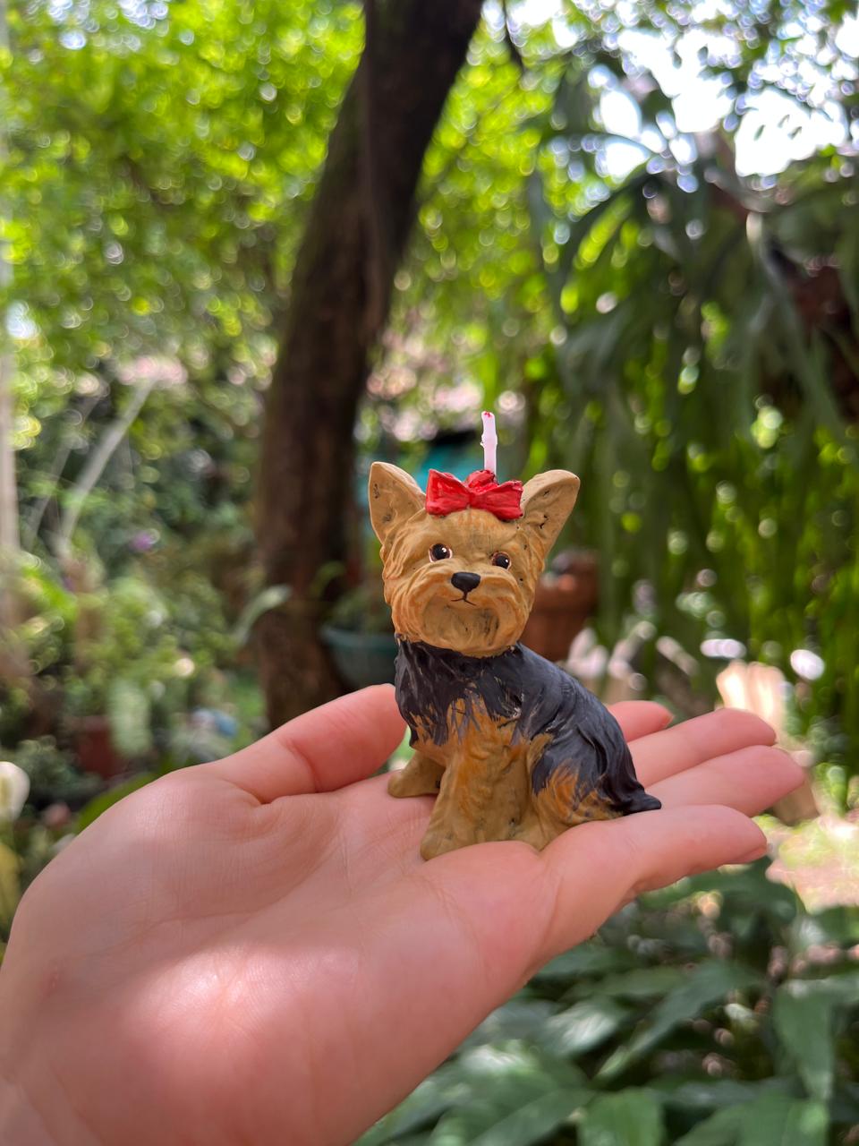 Mascota 5
