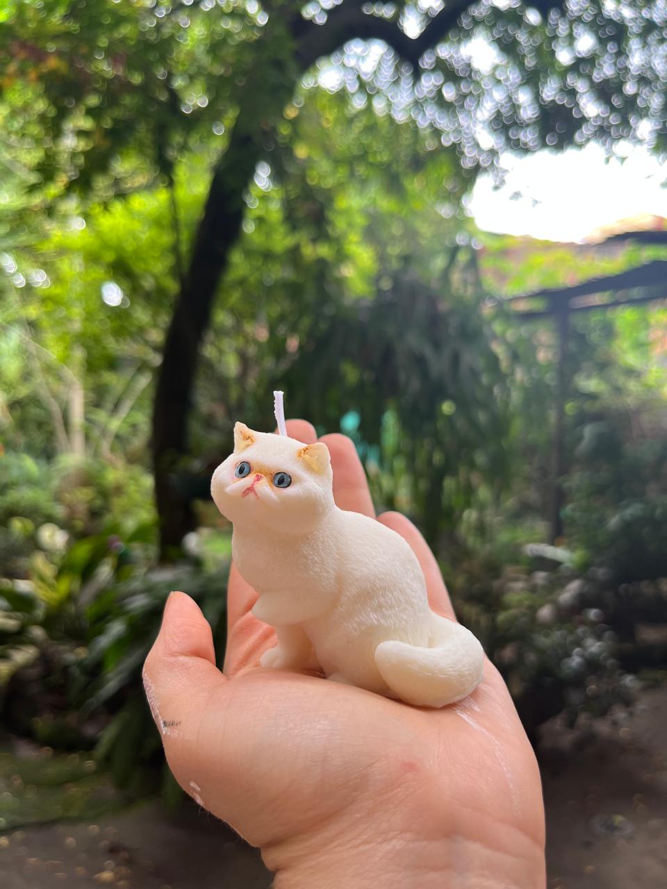 Mascota 6