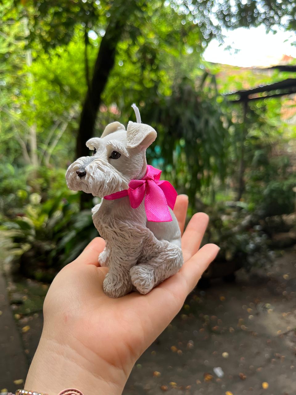 Mascota 7