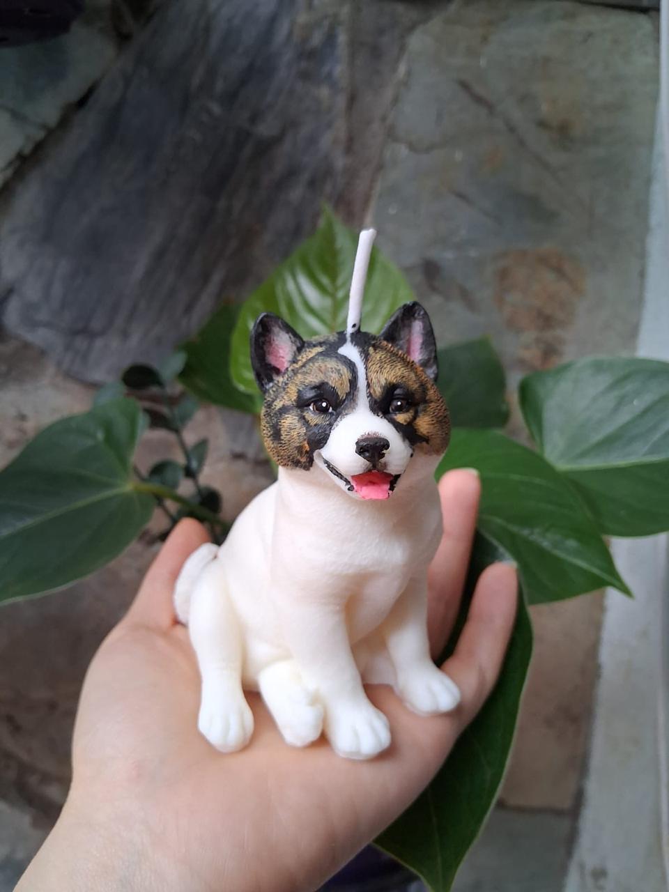 Mascota 8