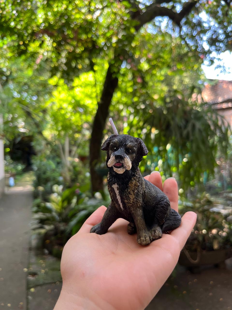 Mascota 9